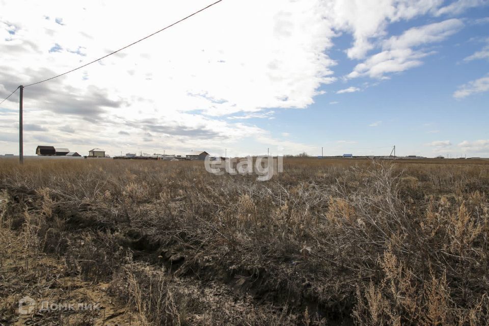 земля р-н Тюменский село Борки фото 3