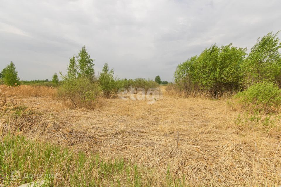 земля г Тюмень снт Поле чудес-2 ул Садовая городской округ Тюмень фото 2