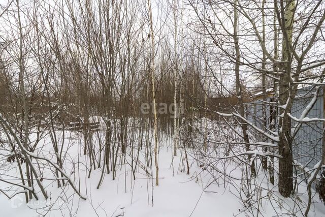 земля городской округ Тюмень фото