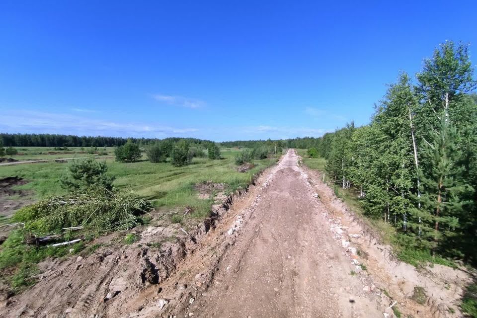 земля р-н Нижнетавдинский садоводческое некоммерческое товарищество Царицыно фото 3