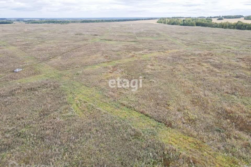 земля р-н Тюменский д Большие Акияры ул Рощинская фото 3