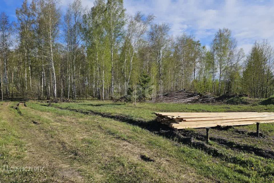 земля г Тюмень городской округ Тюмень, Воеводы Барятинского фото 1