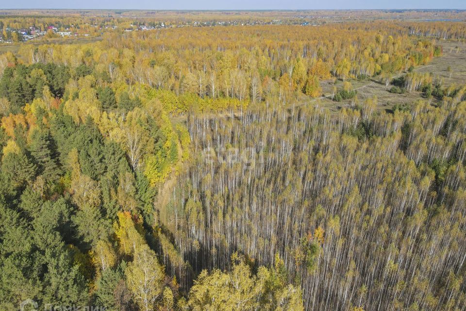 земля г Тюмень Центральный административный округ фото 1