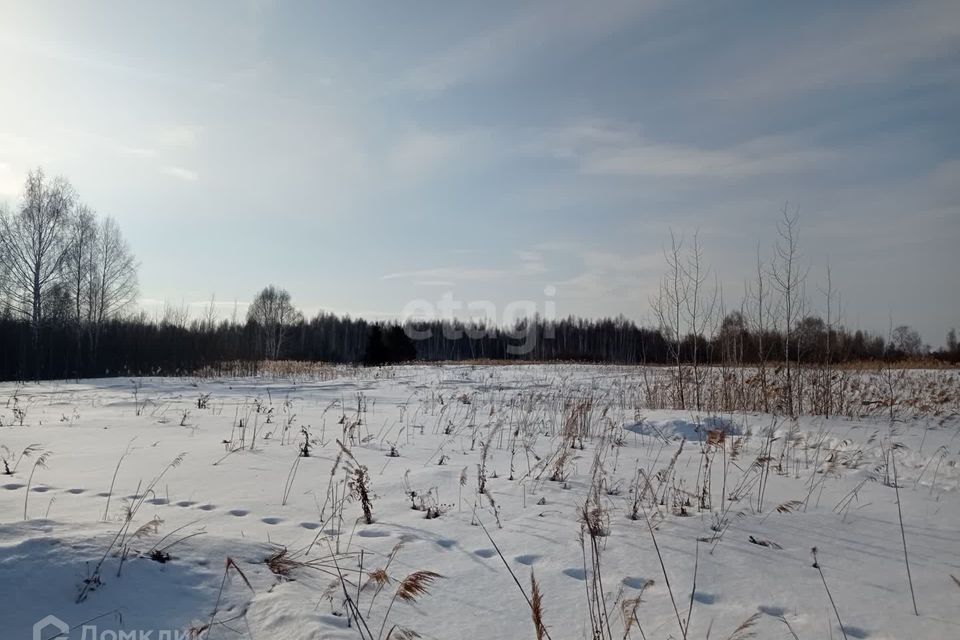 земля городской округ Верхняя Пышма, СНТ Золотое Яблоко фото 1