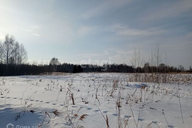 городской округ Верхняя Пышма, СНТ Золотое Яблоко фото