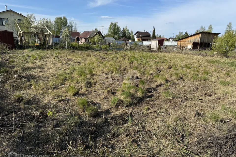 земля р-н Тюменский снт Нива ул Садовая фото 1