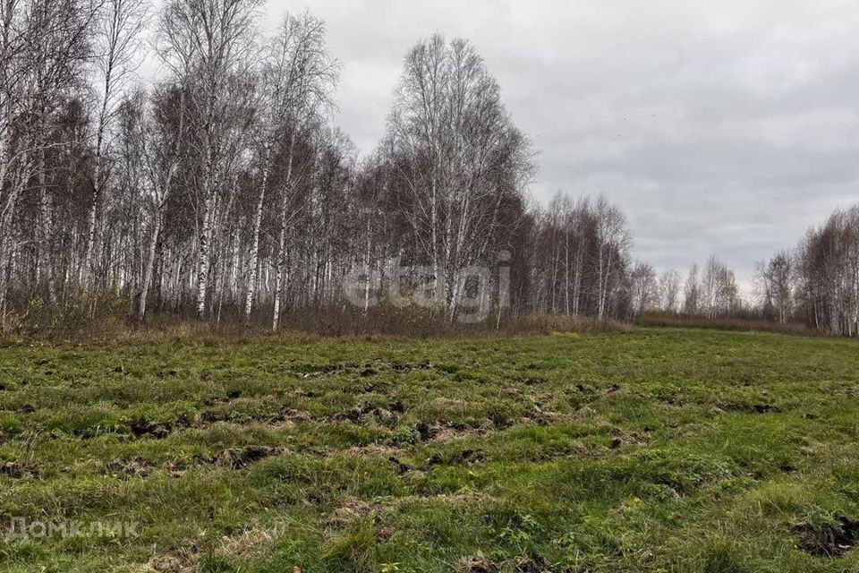 земля г Тюмень городской округ Тюмень, садовое товарищество Золотая Осень-2 фото 1