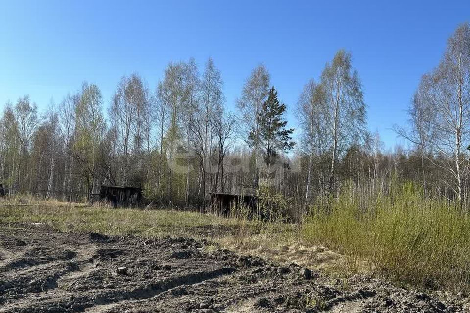 земля р-н Нижнетавдинский фото 2