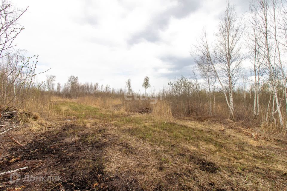 земля г Тюмень городской округ Тюмень, садоводческое некоммерческое товарищество Большое Царёво-2 фото 2