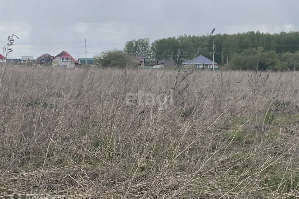 земля р-н Тюменский д Большие Акияры ул Новая фото 4