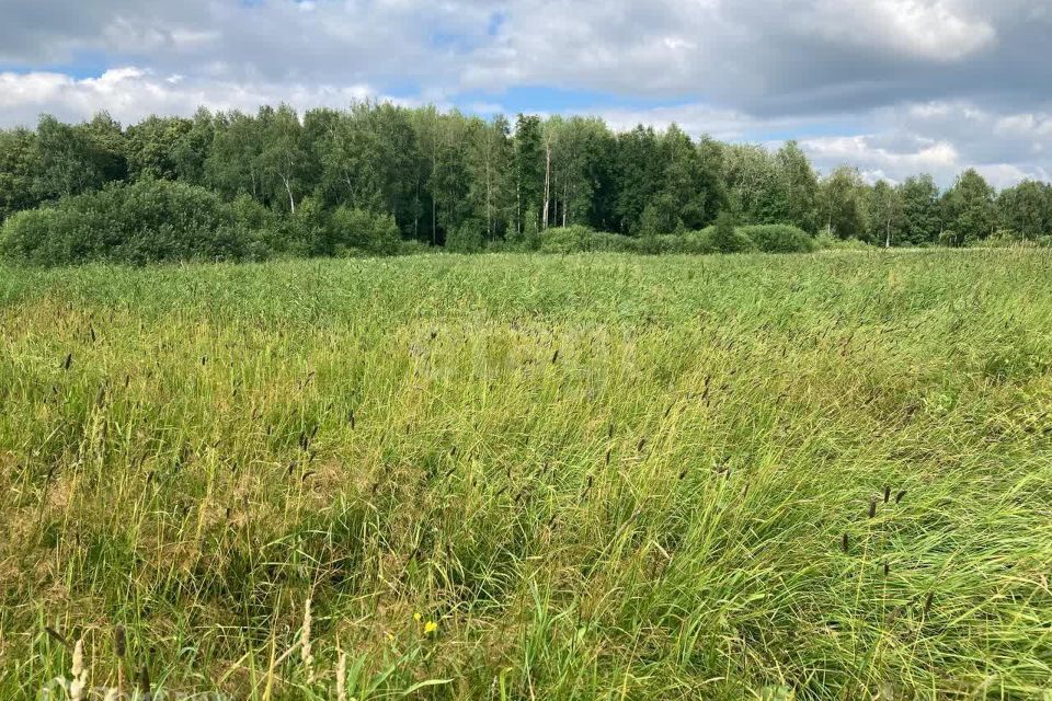 земля р-н Нижнетавдинский с Нижняя Тавда ул Новогодняя фото 2