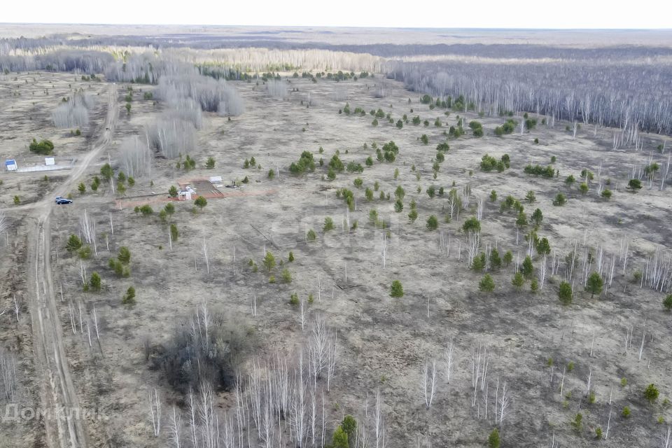 земля г Тюмень городской округ Тюмень, садовое товарищество Золотая Осень-2 фото 3