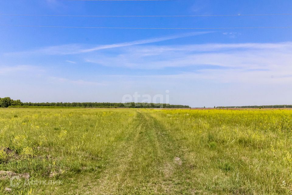 земля р-н Нижнетавдинский деревня Большой Хутор фото 1