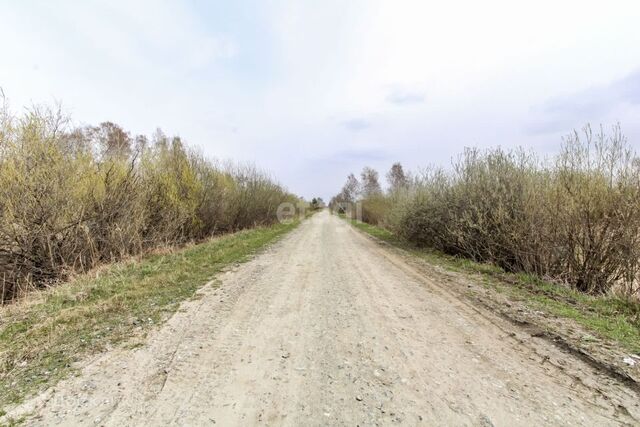 городской округ Тюмень, Садоводческое общество Царёво фото