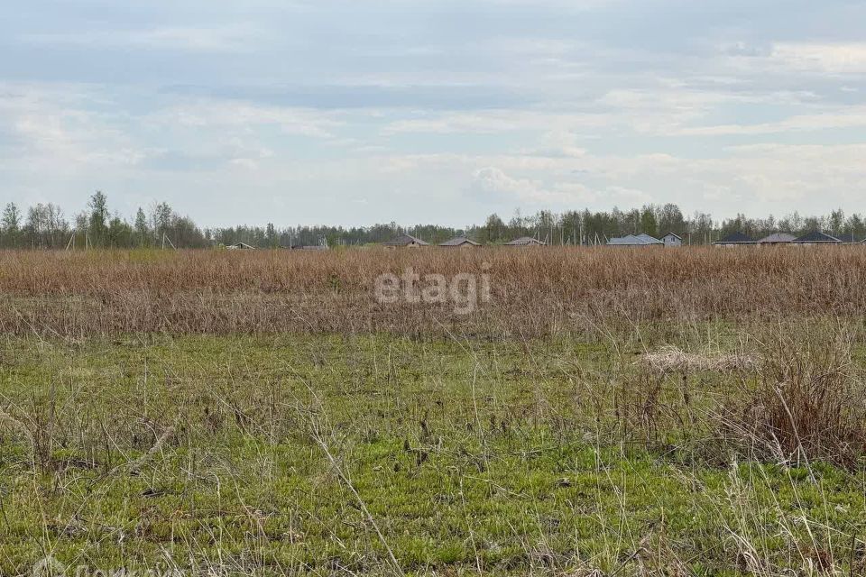 земля г Нижневартовск СОТ Озёрный, городской округ Нижневартовск фото 1