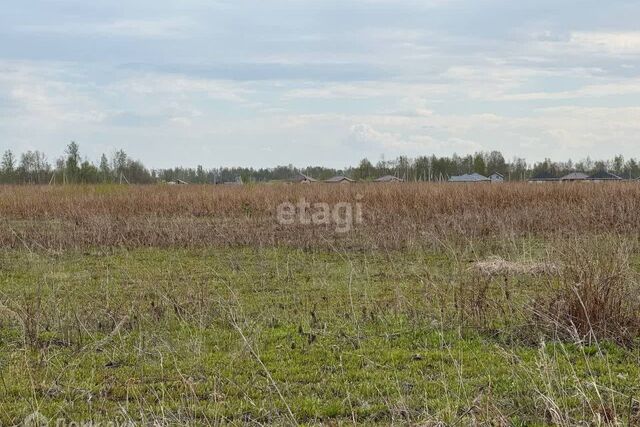 г Нижневартовск СОТ Озёрный, городской округ Нижневартовск фото