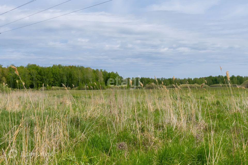 земля г Тюмень городской округ Тюмень, садовое товарищество Золотая Осень-2 фото 4