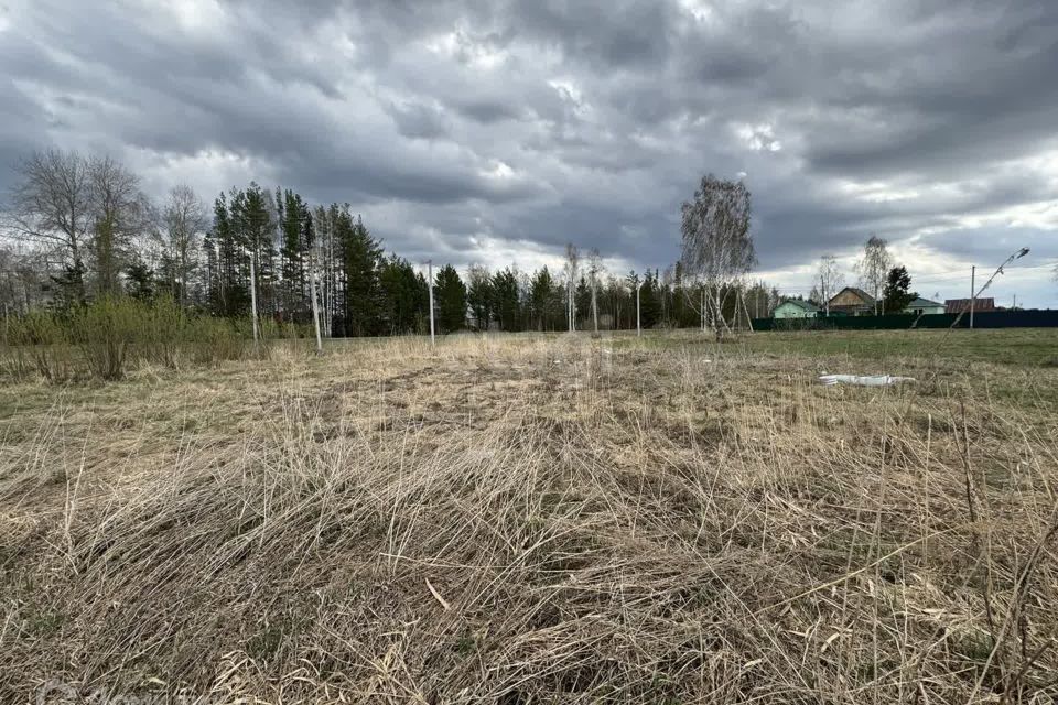 земля р-н Нижнетавдинский село Тюнево фото 4