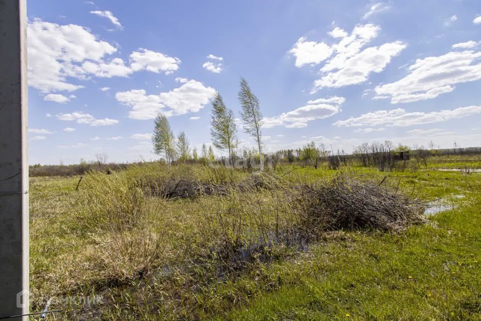 земля г Тюмень городской округ Тюмень, СНТ Надежда-3 фото 2