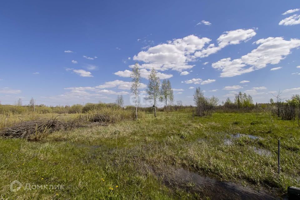 земля г Тюмень городской округ Тюмень, СНТ Надежда-3 фото 3