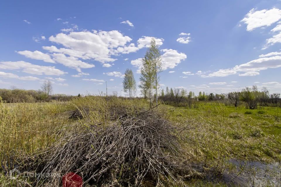 земля г Тюмень городской округ Тюмень, СНТ Надежда-3 фото 4