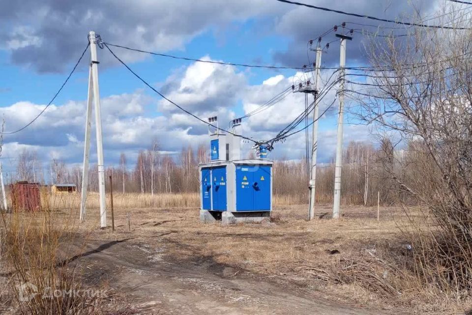 земля г Тюмень городской округ Тюмень, садоводческое некоммерческое товарищество Большое Царёво-2 фото 3