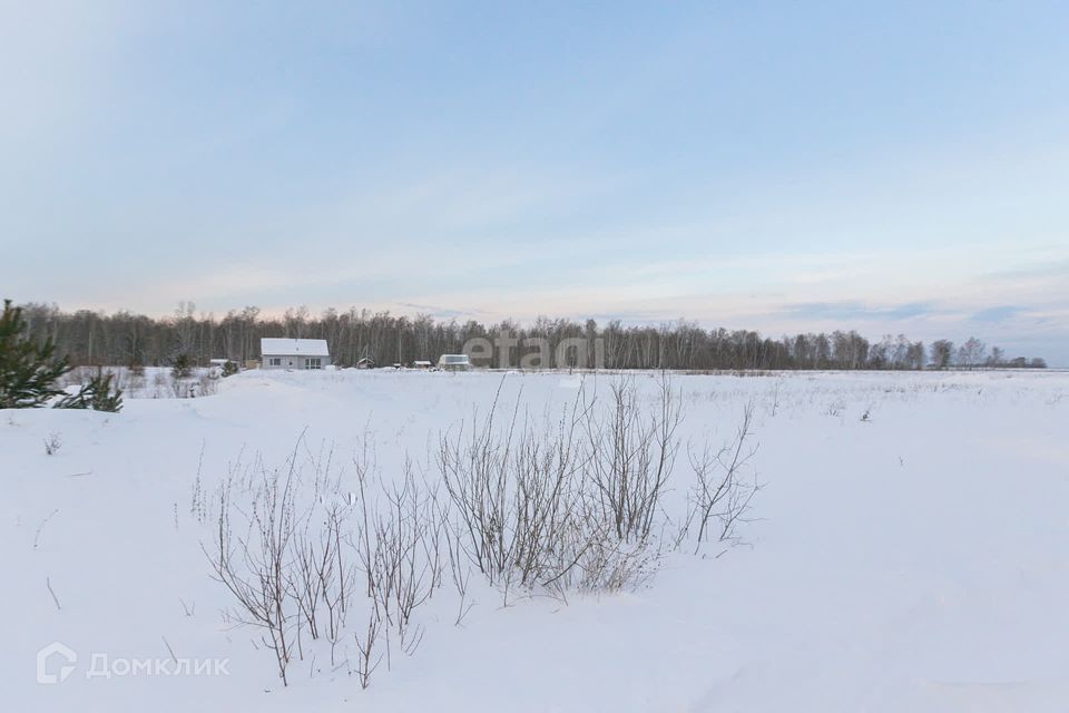 земля р-н Тюменский коттеджный посёлок Соловьиная роща фото 3