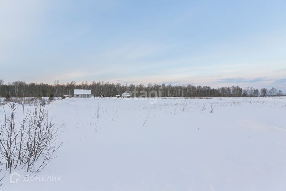 земля р-н Тюменский коттеджный посёлок Соловьиная роща фото 4