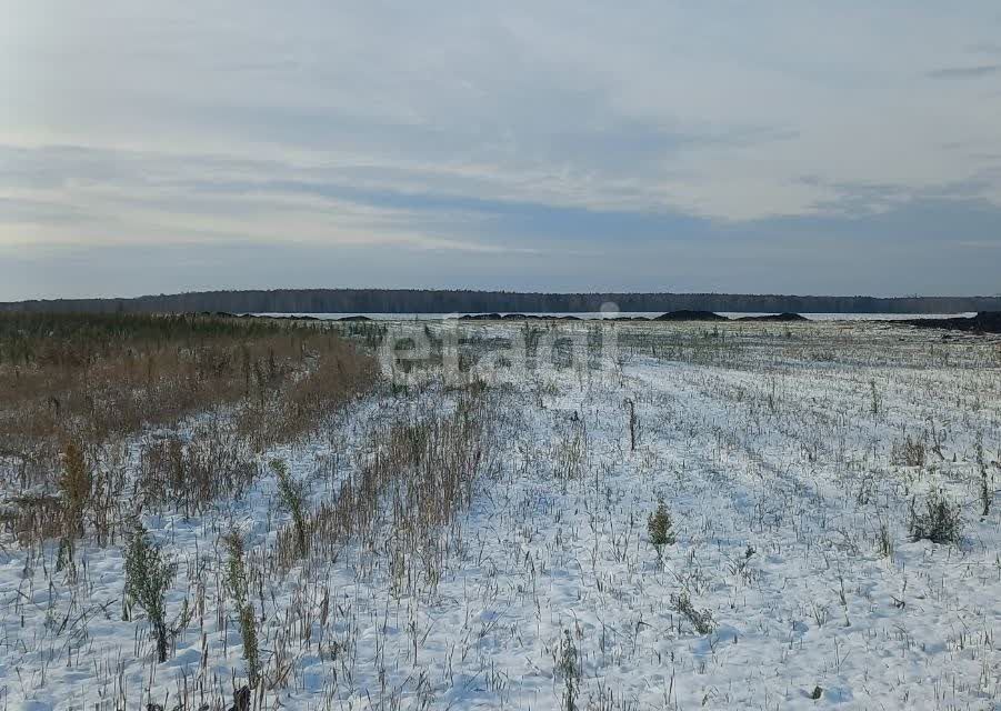 земля р-н Тюменский с Кулига микрорайон Кулига-2 фото 2