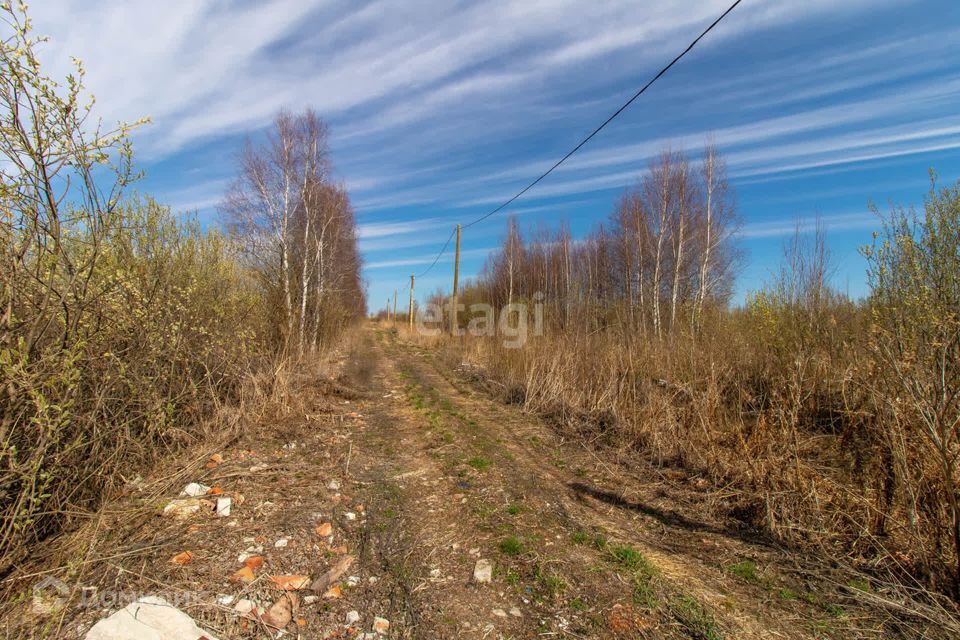 земля г Тюмень городской округ Тюмень, садоводческое некоммерческое товарищество Большое Царёво-2 фото 3