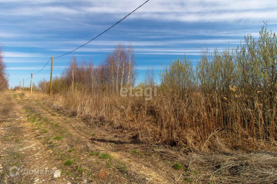 земля г Тюмень городской округ Тюмень, садоводческое некоммерческое товарищество Большое Царёво-2 фото 4