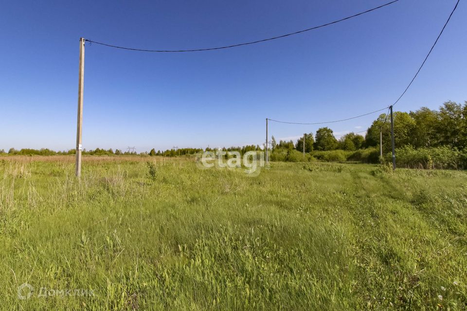 земля р-н Тюменский село Борки фото 3