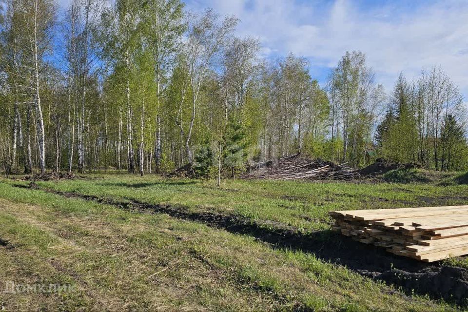 земля г Тюмень городской округ Тюмень, Воеводы Барятинского фото 2