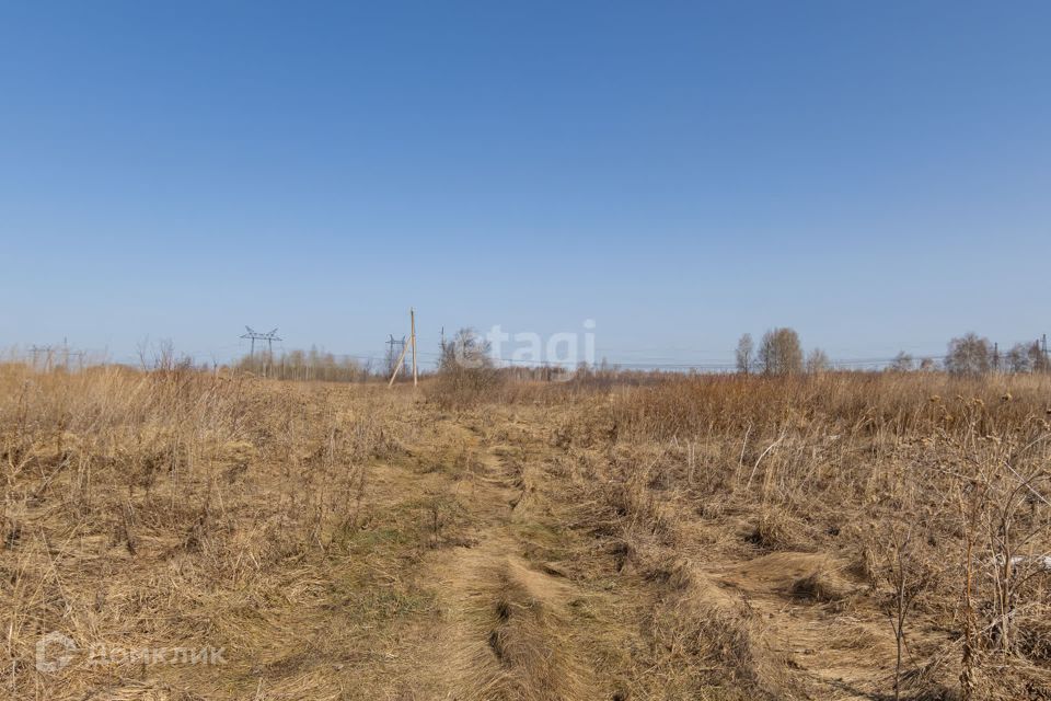 земля р-н Тюменский село Борки фото 3