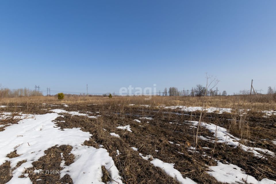 земля р-н Тюменский село Борки фото 4