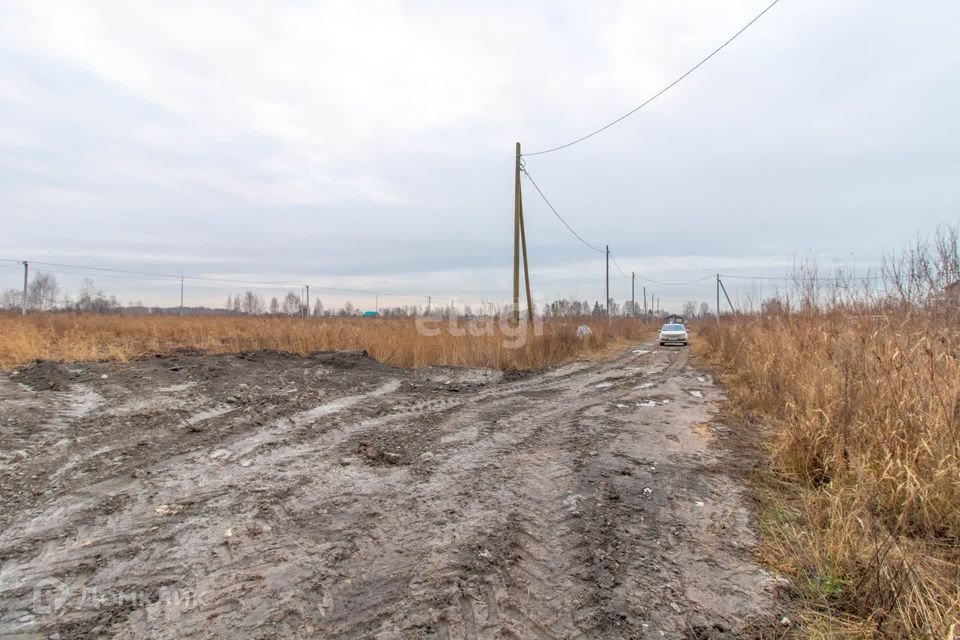 земля г Тюмень снт Матрешка городской округ Тюмень, Листопадная улица фото 3