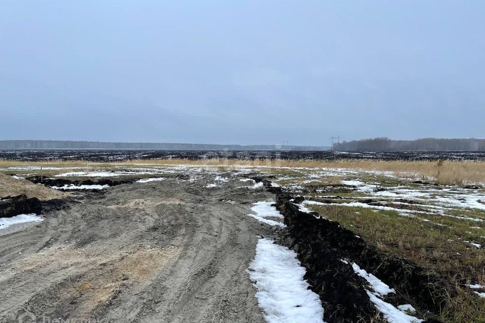 земля р-н Тюменский село Каменка фото 4