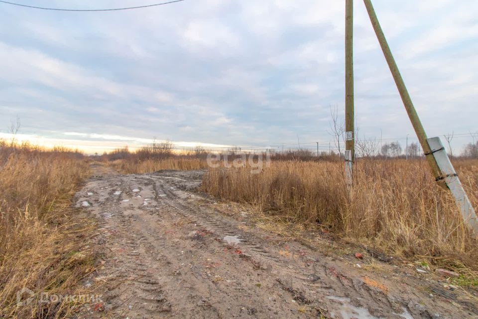 земля г Тюмень снт Матрешка городской округ Тюмень, Листопадная улица фото 4