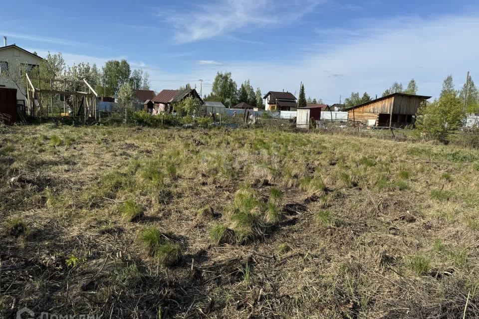 земля р-н Тюменский снт Нива ул Садовая фото 3