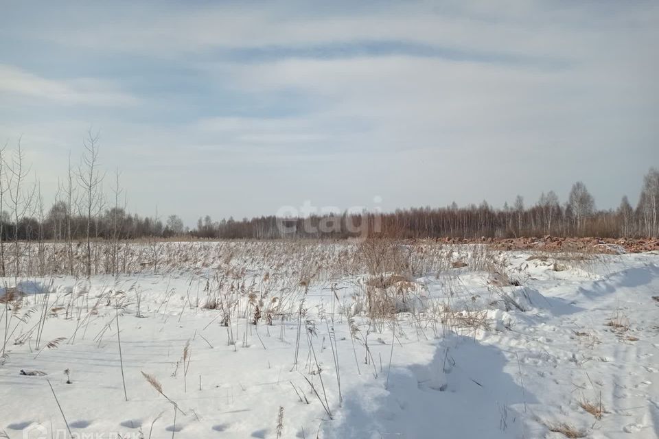 земля городской округ Верхняя Пышма, СНТ Золотое Яблоко фото 4