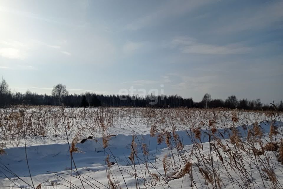 земля городской округ Верхняя Пышма, СНТ Золотое Яблоко фото 3