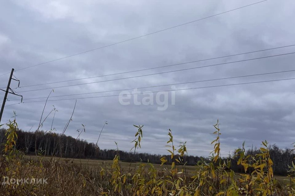 земля г Тюмень городской округ Тюмень, садовое товарищество Золотая Осень-2 фото 3