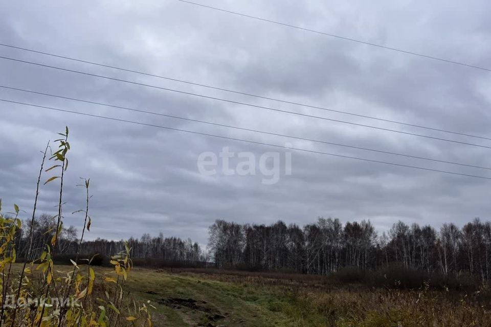 земля г Тюмень городской округ Тюмень, садовое товарищество Золотая Осень-2 фото 4