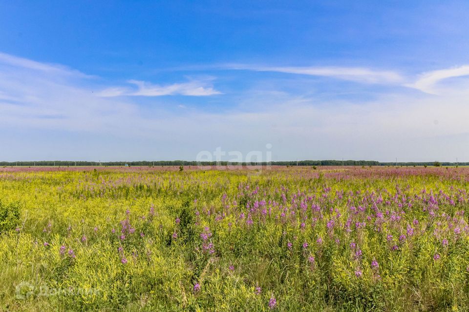 земля р-н Нижнетавдинский деревня Большой Хутор фото 3