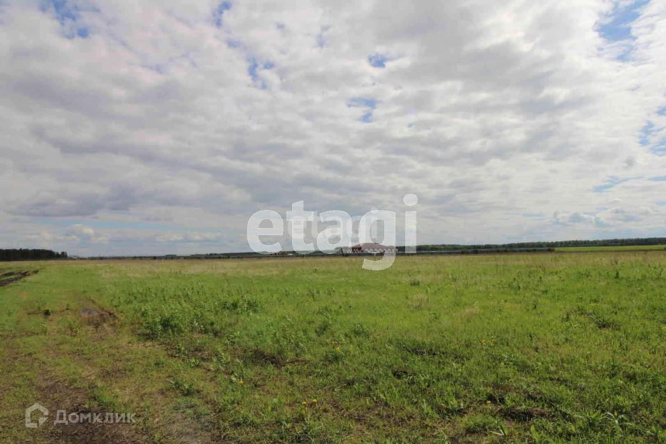 земля р-н Тюменский село Луговое фото 2