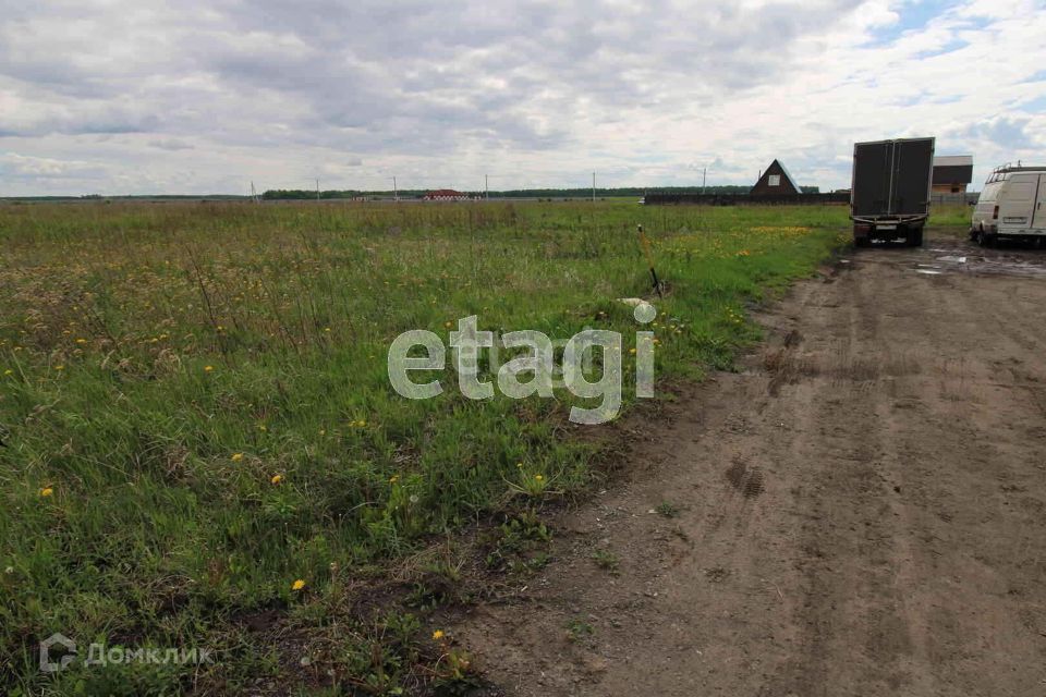 земля р-н Тюменский село Луговое фото 4