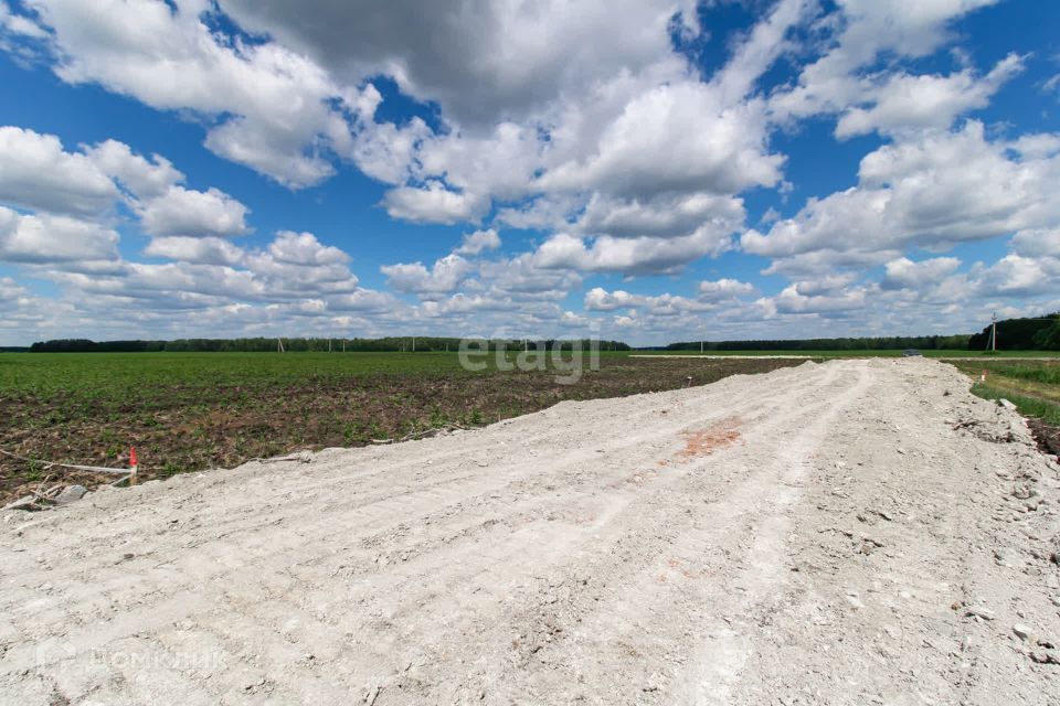 земля р-н Тюменский село Горьковка фото 3