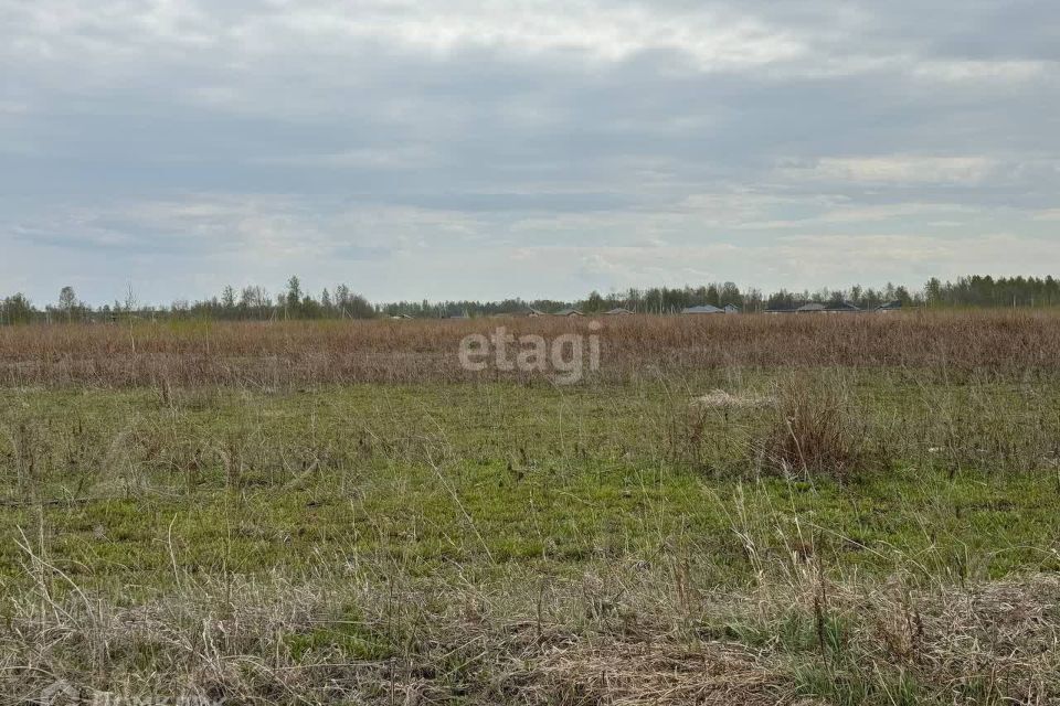 земля г Нижневартовск СОТ Озёрный, городской округ Нижневартовск фото 4