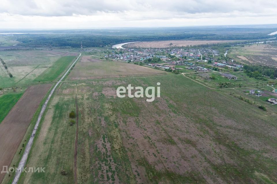 земля р-н Тюменский село Салаирка фото 3