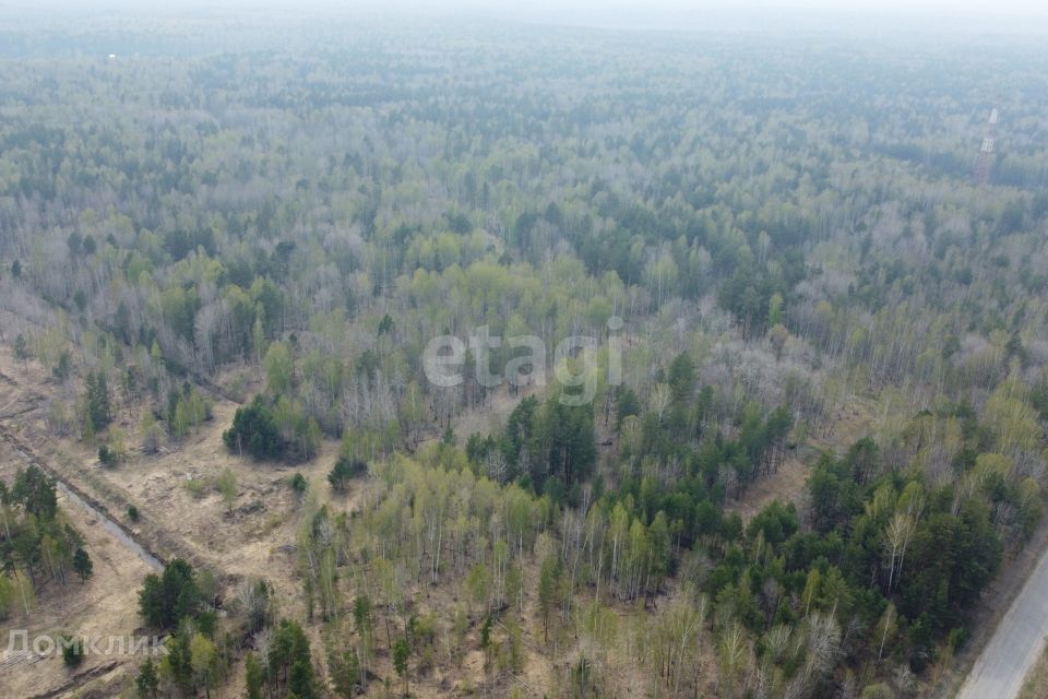 земля р-н Нижнетавдинский село Тюнево фото 3